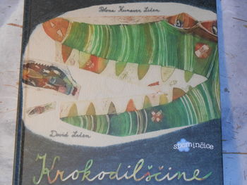 Nova slikanica iz Lične hiše