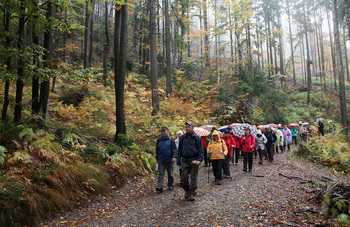 Zimzeleni  s Kladja  na Ermanovec – vabljiv cilj v Škofjeloškem hribovju