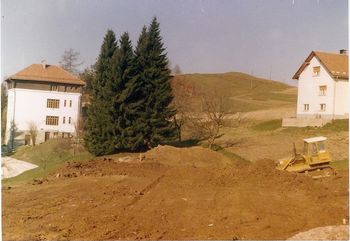 Lubadar uničil srebrne smreke