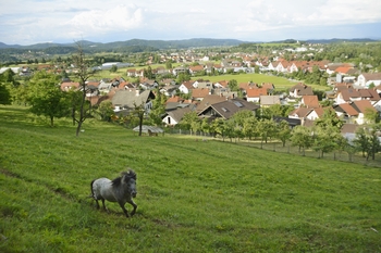 Kdo si želi županski stolček?