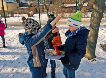 Skrb za ptice Skrb za ptice