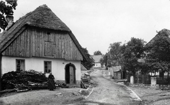 O Pelinovki in Pelinovcu