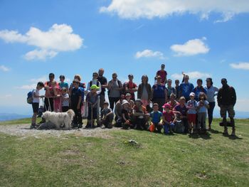 Med planinskimi rožicami