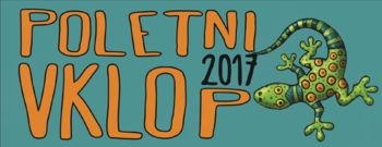 Poletni vklop: organizirano poletno varstvo otrok