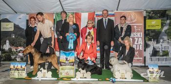 Specialna klubska razstava terierjev