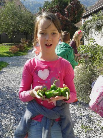 Šolski vrt osnovne šole Borovnica