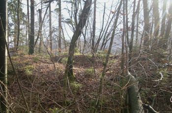 O vrhniškem in horjulskem gradu