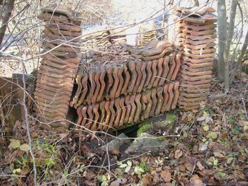 O vrhniškem in horjulskem gradu