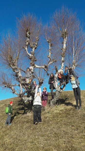 Kotaljenje na Tošču