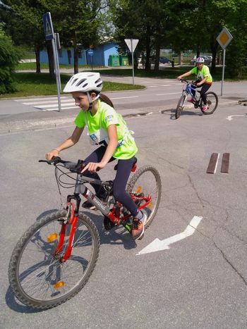 Borovnica, kaj veš o prometu?