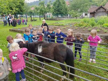 Jahanje ponija v vrtcu Borovnica