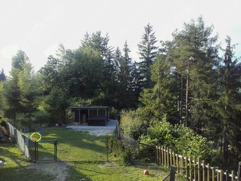 V soseščini odprli pasji hotel