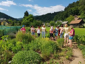 Predpočitniško "sejanje"