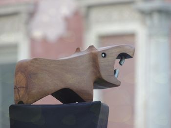 Zverinice v prestolnici