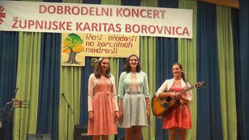 Rast mladosti na koreninah mladosti