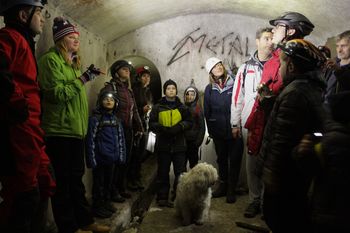 Novembra kar dve muhi na en mah