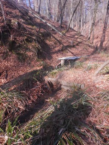 Ovrednotenje izobraževalnih programov v DVIG-u