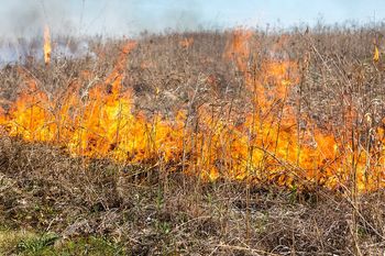 Povečana nevarnost požarov v naravi