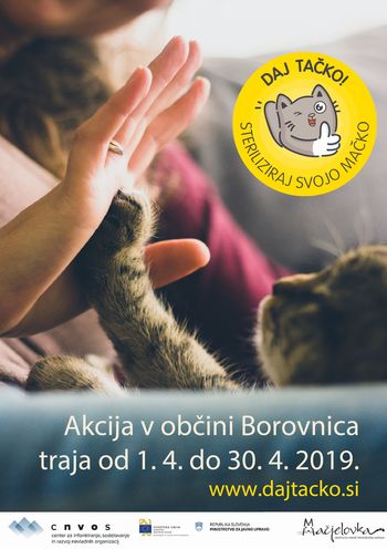 Dolga pot od statusa junakov do ljubljenčkov