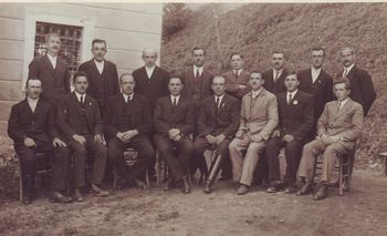 Izpod brez med breze