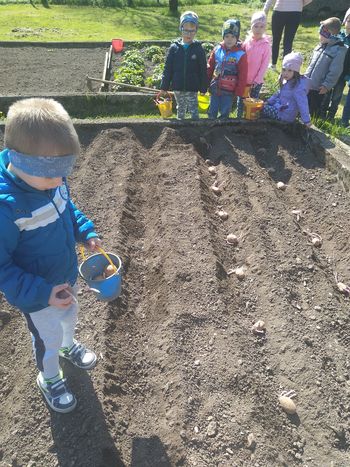 V Vrtcu Borovnica vrtnarimo V Vrtcu Borovnica vrtnarimo