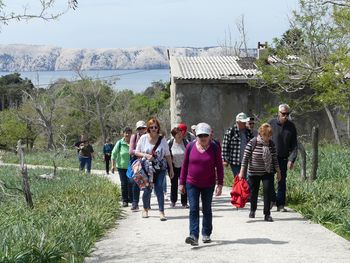 Odkrivanje Golega otoka