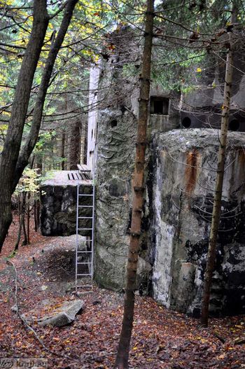Izlet v Poljansko dolino in ogled Rupnikove linije