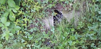 Tišlerjevo zajetje na Lukovici