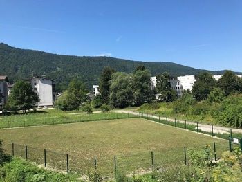 Pasje igrišče v Borovnici