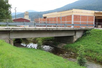 Mostovi čez Borovniščico