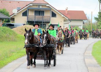 Srečanje lastnikov konjskih vpreg v soteski Pekel