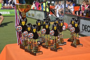 Finale Žogarije na Vrhniki