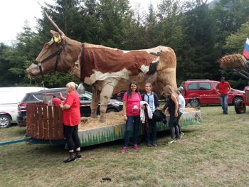 Kravji bal v Bohinju