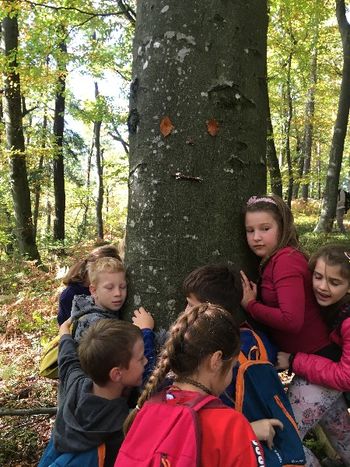 Simbioza giba v OŠ  Log - Dragomer