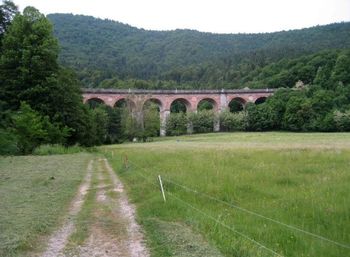 Odziv Liste za našo Borovnico o izjavah župana glede slabega sodelovanja z občinskim svetom