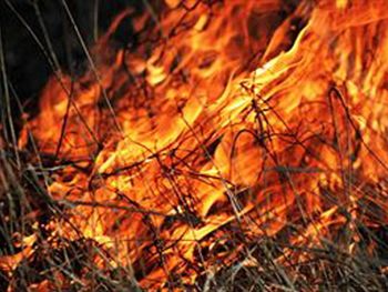 Razglašena je velika požarna ogroženost naravnega okolja