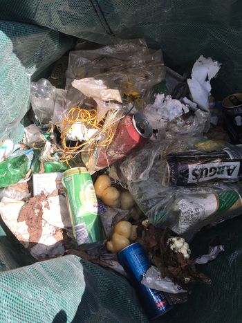 Zakaj še vedno? Zakaj še vedno?