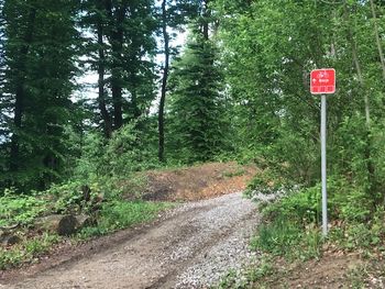 Prejeli smo: Gozdovi niso za avte in motoriste ter sebične kolesarje 