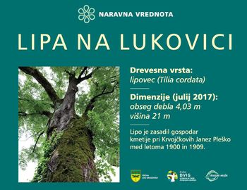 Spoštovani člani, podporniki in sokrajani