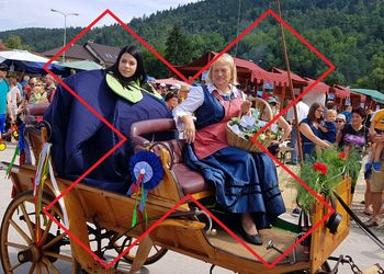 Odpoved prireditve Praznik borovnic