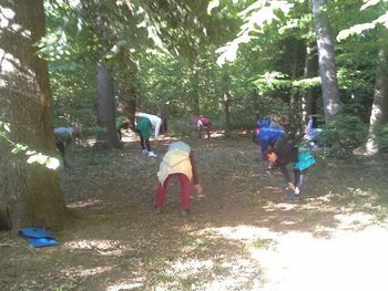 Vedno poskočni smo dihali v gozdu