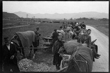 Bil sem na poti slovenskih beguncev Bil sem na poti slovenskih beguncev