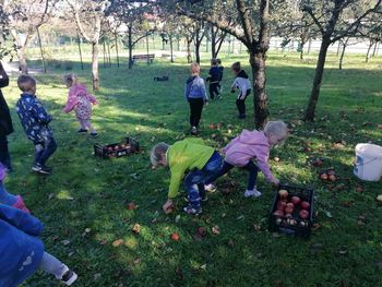 September v vrtcu Borovnica