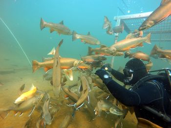 Čudovita potapljaška izkušnja v najvišje ležečem potapljaškem centru v Evropi