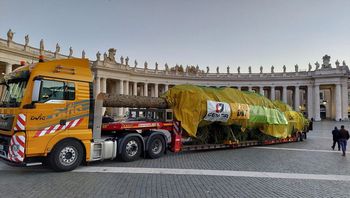 Dvig dostavil božično smreko na Trg sv. Petra 