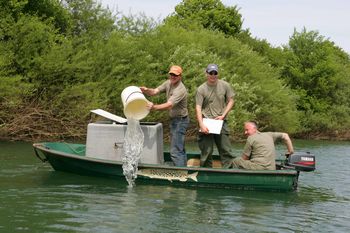 Koliko je dovolj za ohranitev življenja v naši reki?