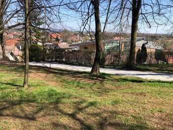 Sprehod na Sveto Trojico bo poslej še prijetnejši