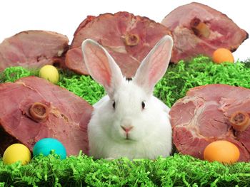 Šunka – priljubljena praznična mesnina