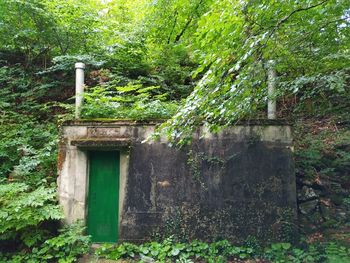 Vodni viri na Logu, nadaljevanje