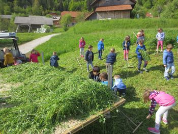 Maj v vrtcu v Borovnici
